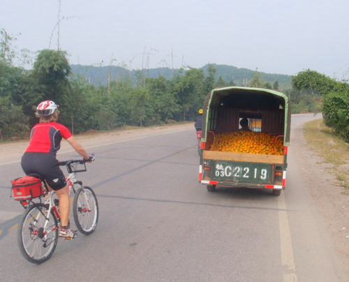 Truck loaded with persimmons.